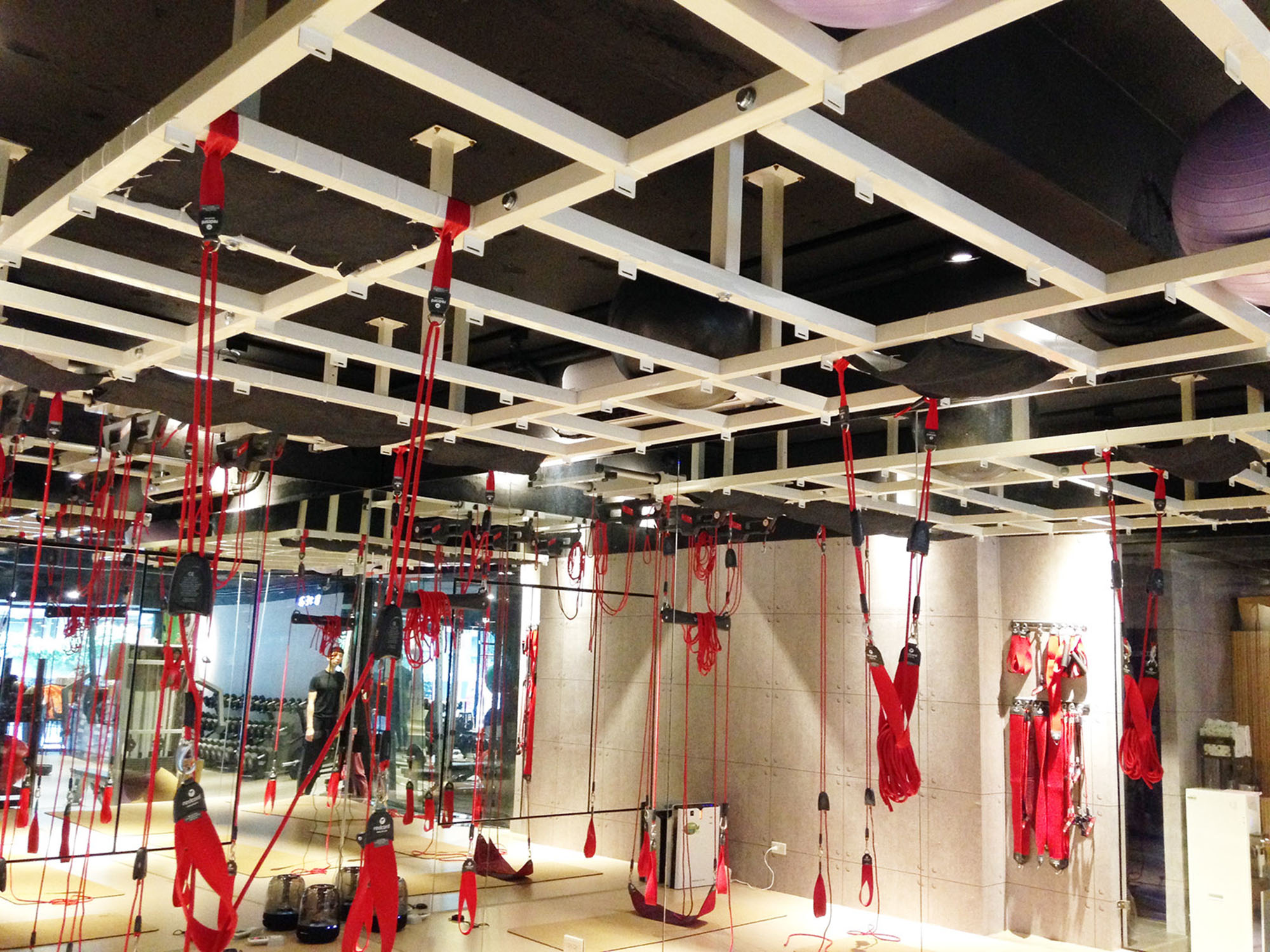 紅繩懸吊-redcord-energym-台北市松山區-核心肌群-腰痠背痛-腰酸背痛-調整體態