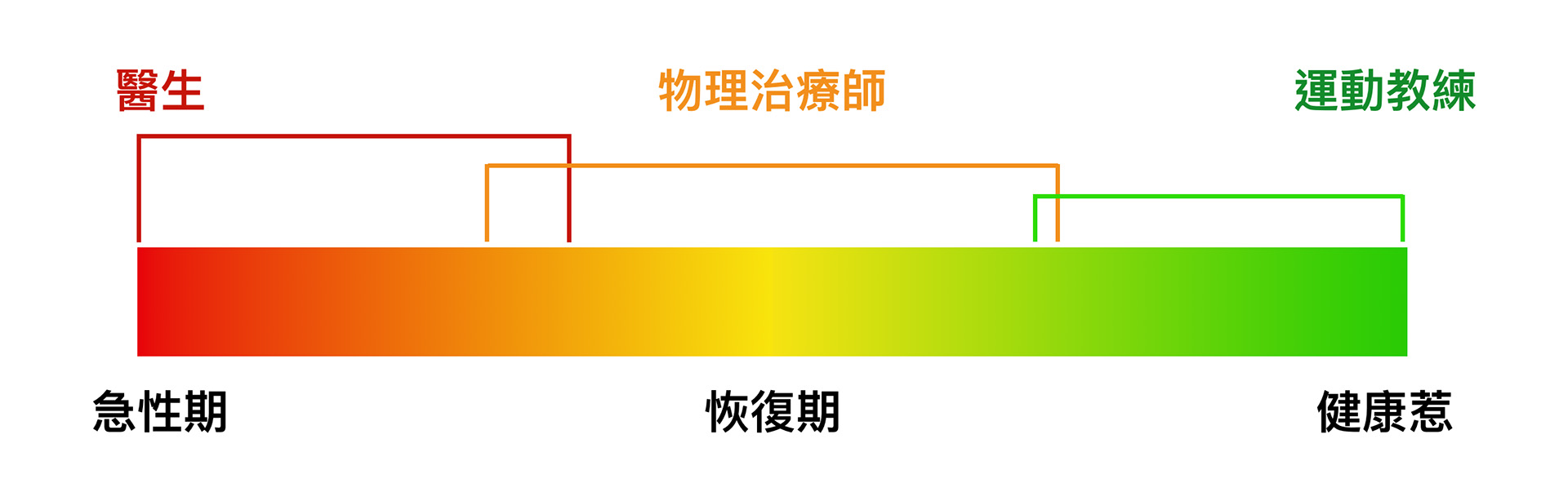 醫生、物理治療師、運動教練負責受傷後的不同時期